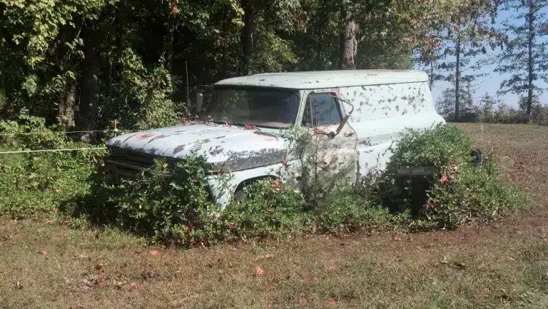 old panel truck in the weeds